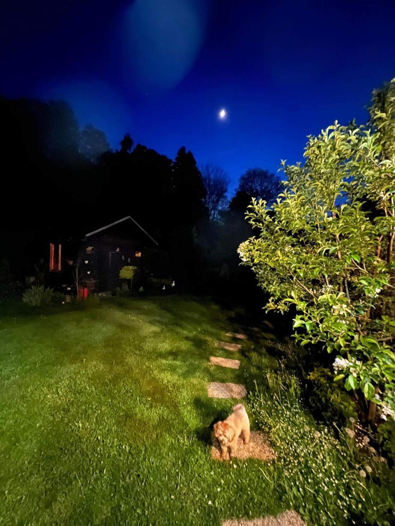 Privat Forest Liptovsky Mikulas Exterior photo
